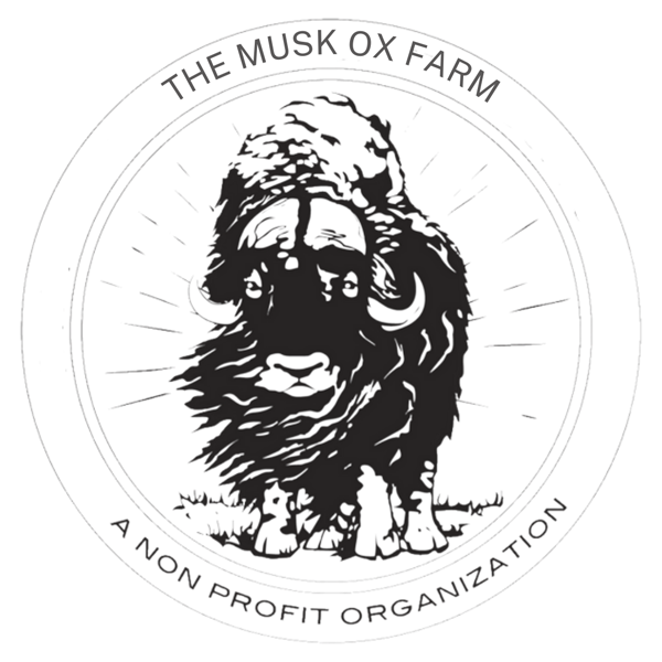 Musk Ox Farm