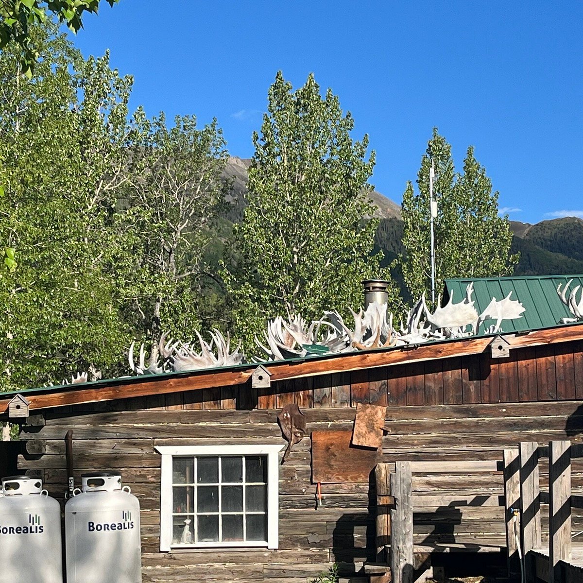 Discovery Yukon Lodgings — photo 3