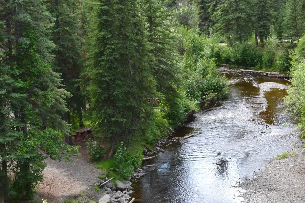 Tolsona Wilderness Campground — photo 6