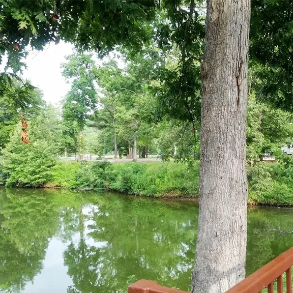 Bear Creek RV Park in Seward, Alaska