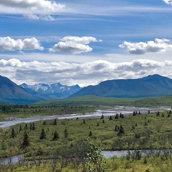 Denali Rainbow Village & RV Park — photo 5