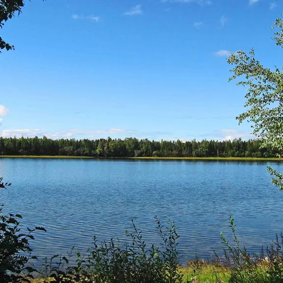 Grizzly Lake Campground — photo 2