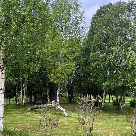 K-Beach Campground and Storage in Kenai, Alaska