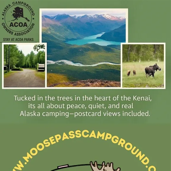 Moose Pass Campground — photo 2