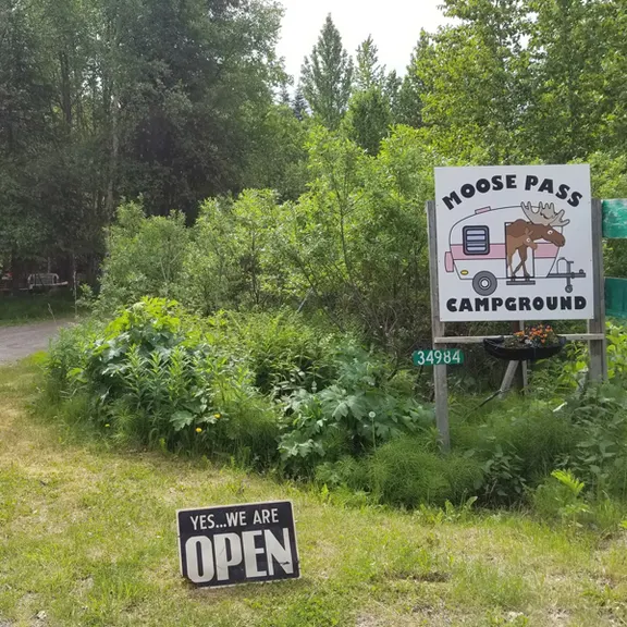 Moose Pass Campground — photo 3