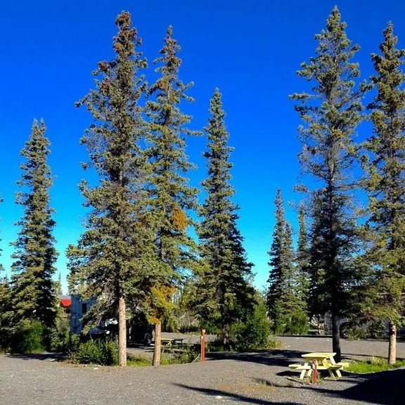 Northern Nights Campground RV Park & Cabins — photo 2