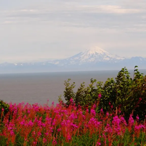 Scenic View RV Park — photo 4