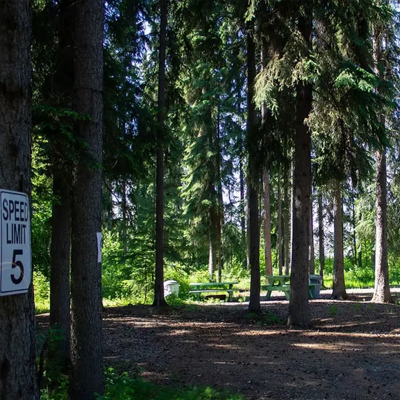 Tanana Valley Campground & RV Park — photo 4