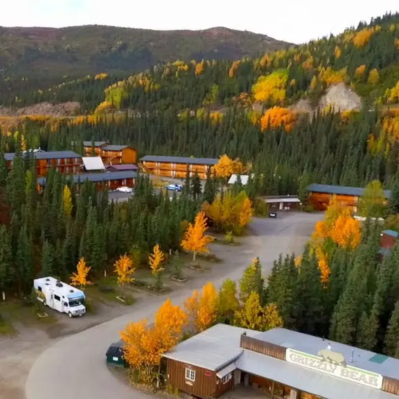 Denali Grizzly Bear Resort — photo 3