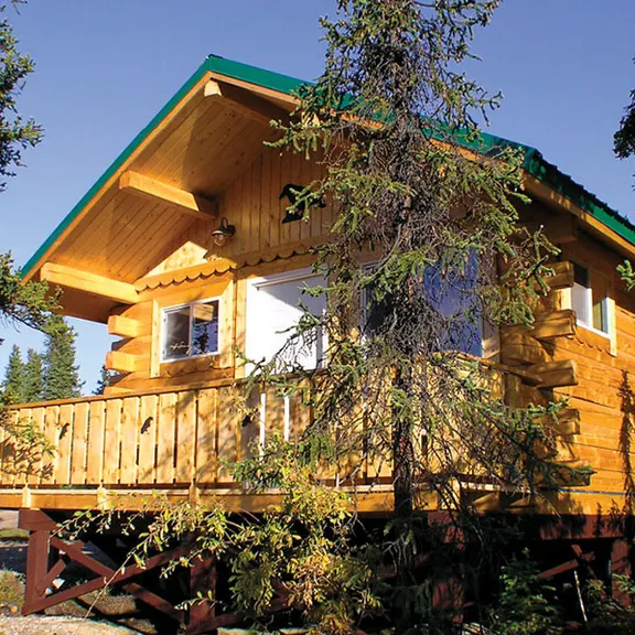 Denali Grizzly Bear Resort — photo 4
